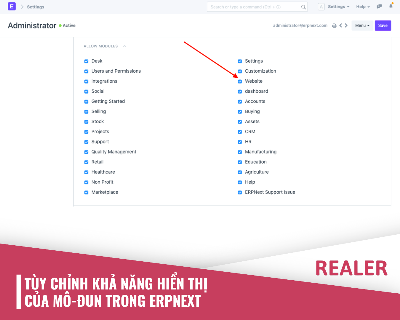 Tùy chỉnh hiển thị mô đun ERPNext