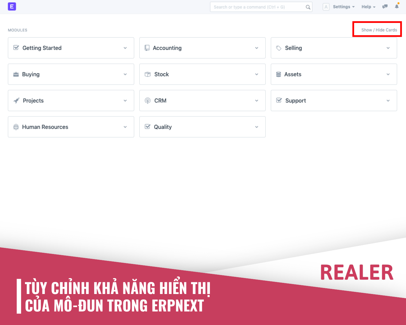 Tùy chỉnh hiển thị mô đun ERPNext