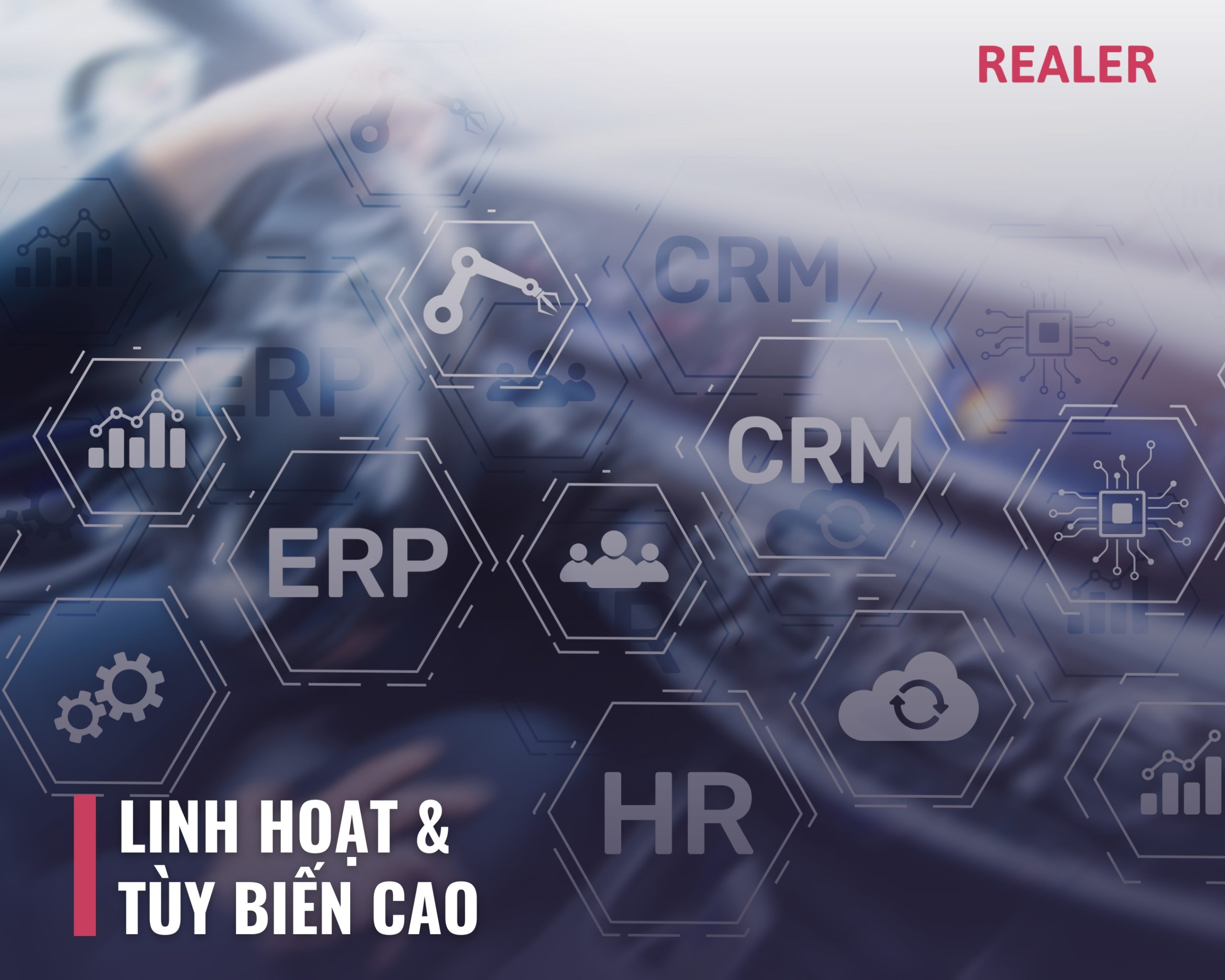 Linh hoạt & Tùy biến cao - ERPNext Việt Nam